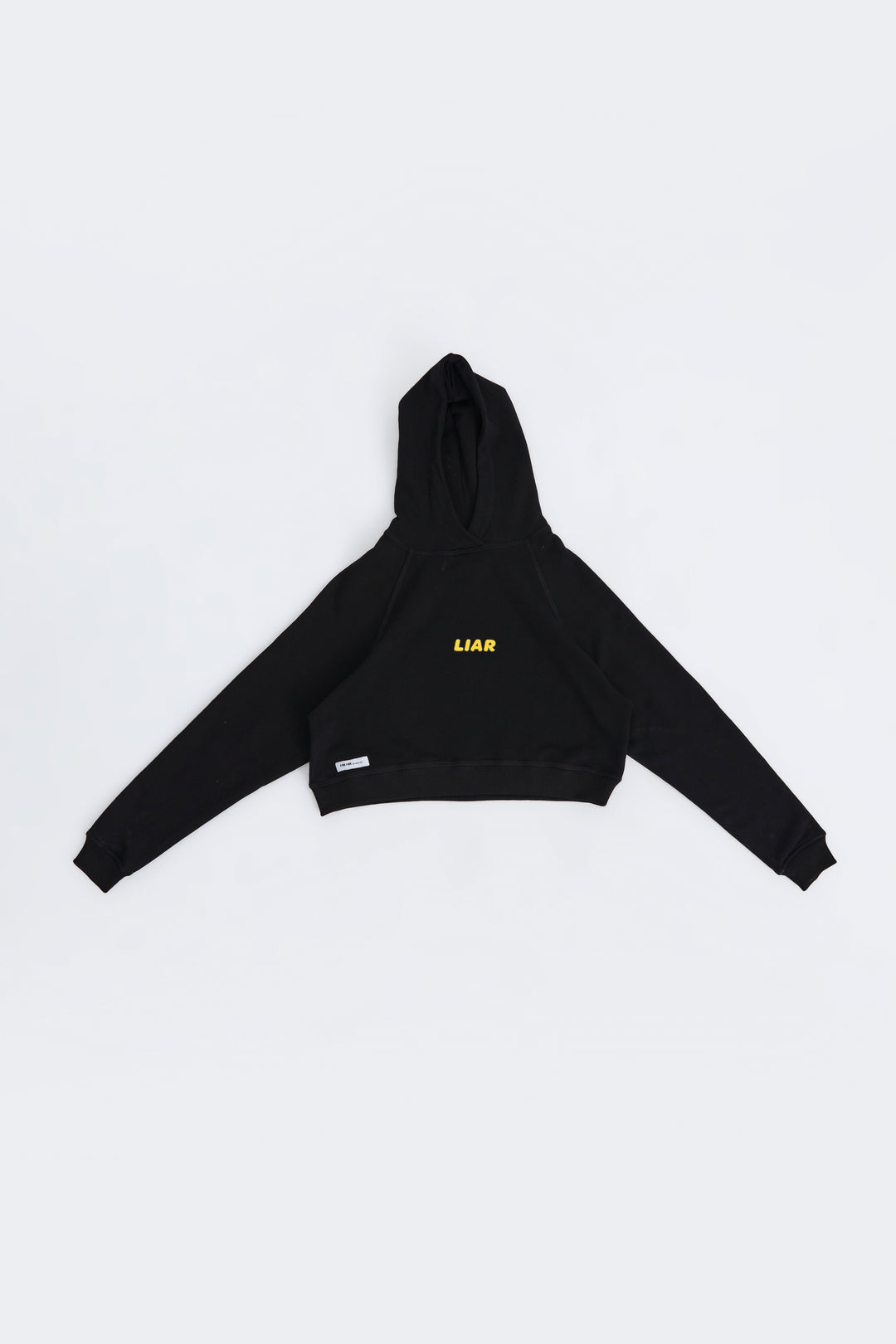 Liar/Crop Hoodie