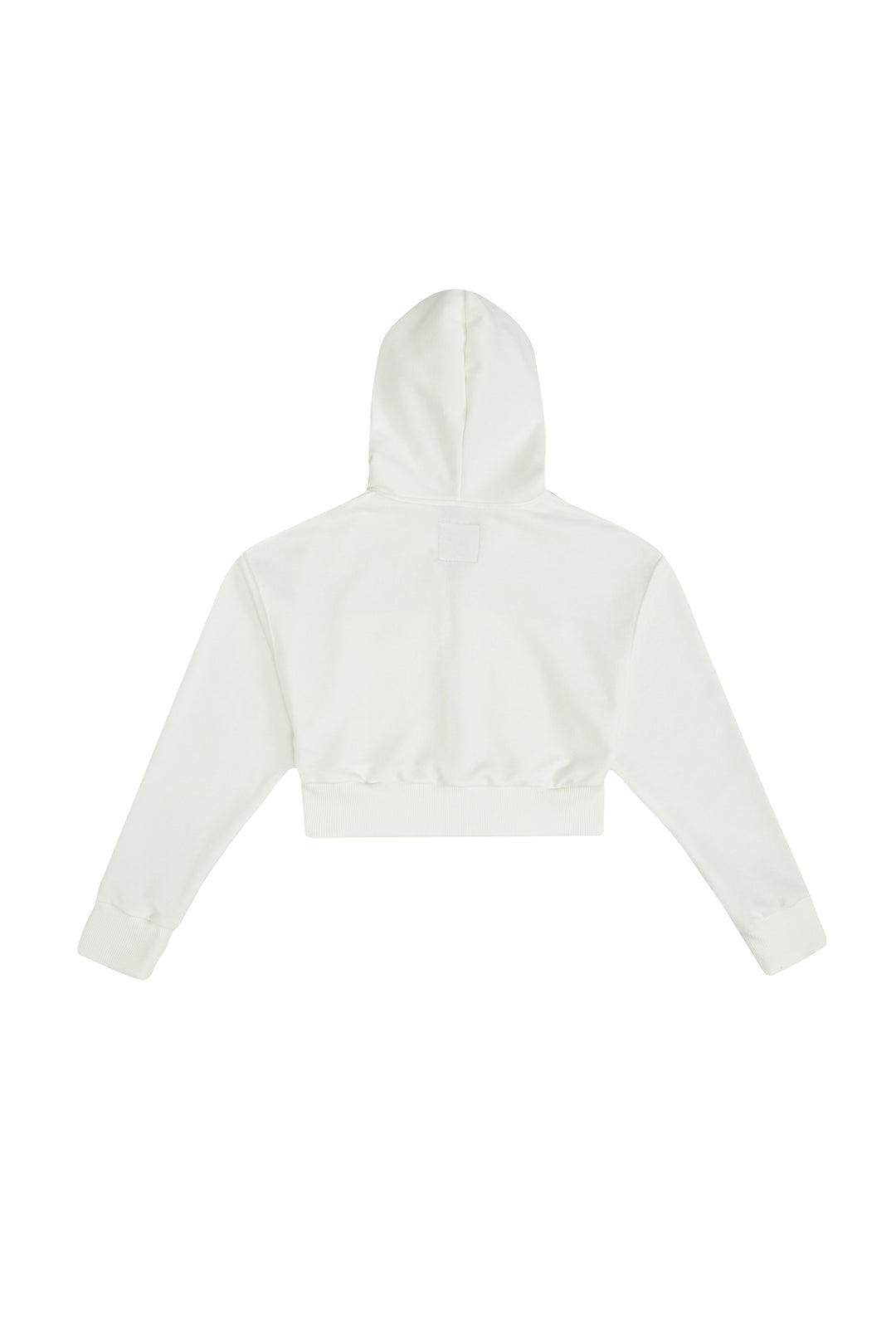 FF / Women Cropped Zip Up Hoodie